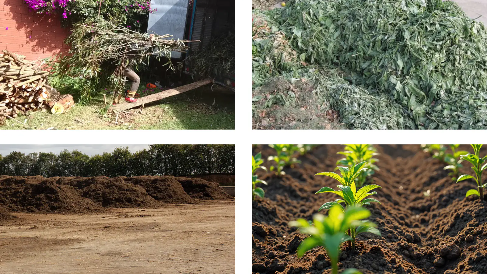 Gestión profesional de residuos vegetales con equipo de Eco Verde A&M