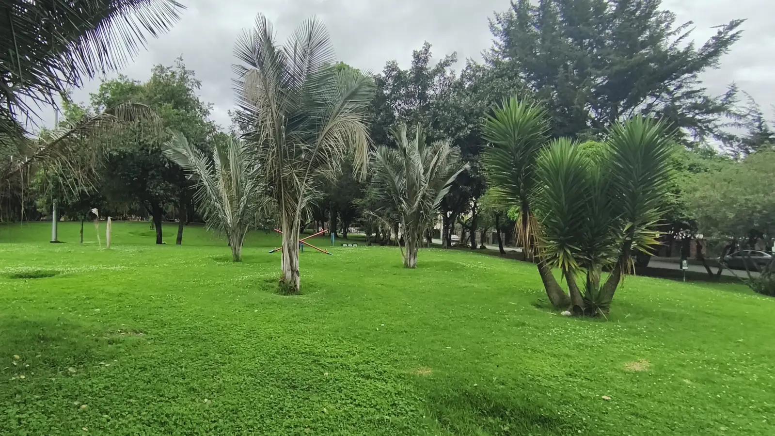 Servicios de Jardinería Profesional - Eco Verde A&M