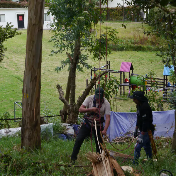 Imagen del cliente Walter Wiesner en Casablanca Suba Bogotá